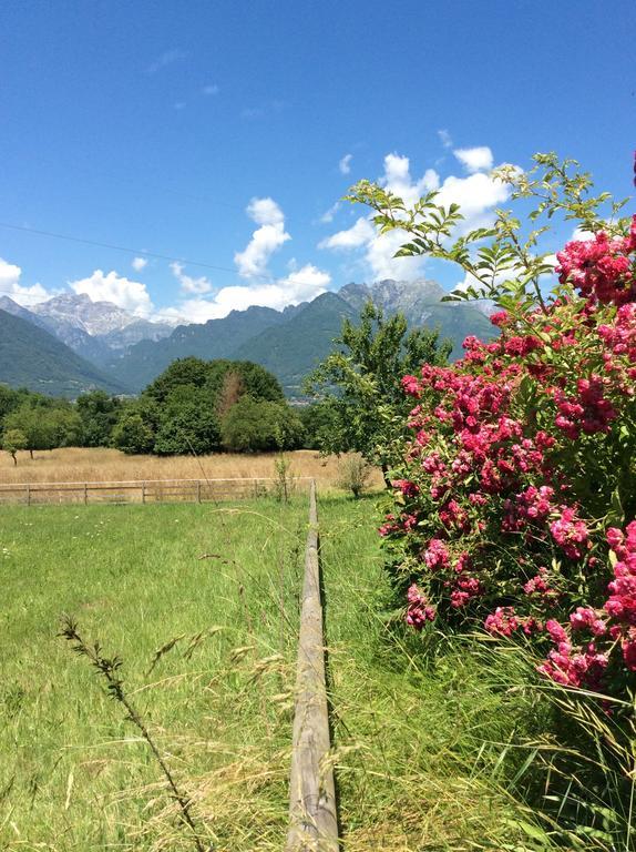 Il Mondo Roverso Feltre Exterior foto